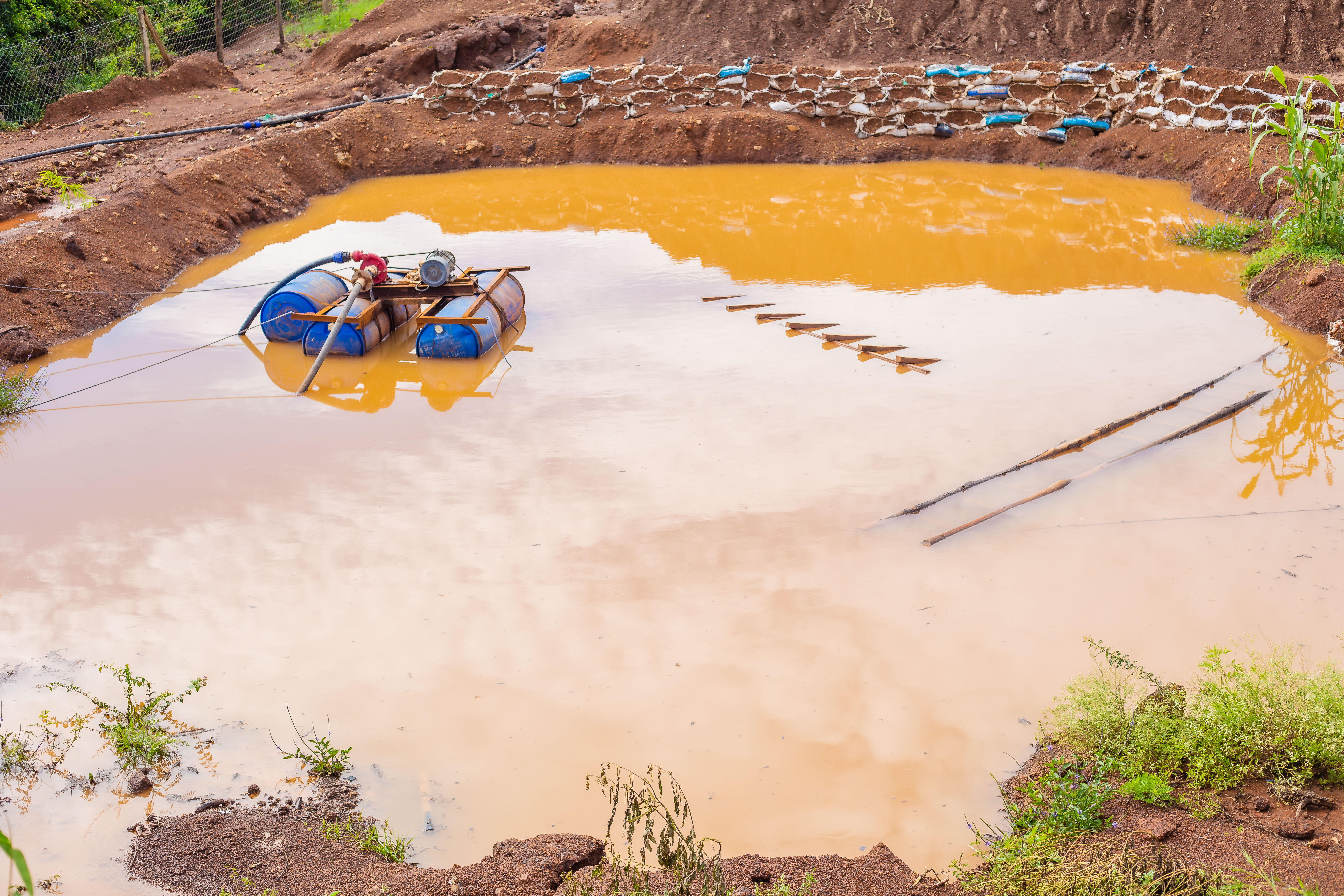 Client Success Stories